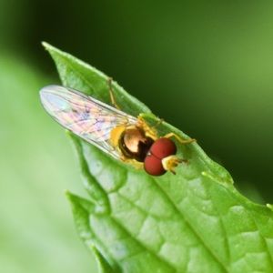 Meet your Posher, Kennedy